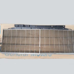 NOS GM 81 Buick Regal Grille
