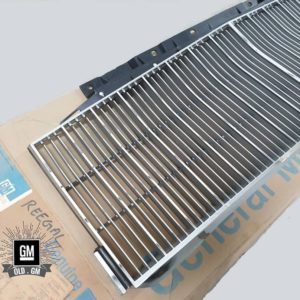 NOS GM 81 Buick Regal Grille