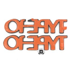 NOS GM 82-85 Cavalier Type-10 Nameplate