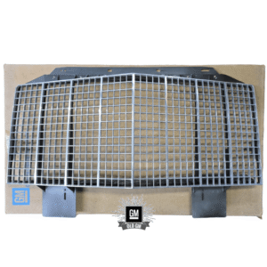 homepage 1 NOS GM 81-82 Buick Riviera Grille